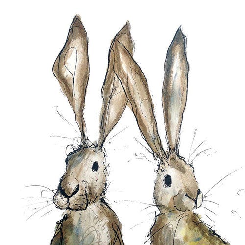 Catherine Rayner - Heidi and Hilary