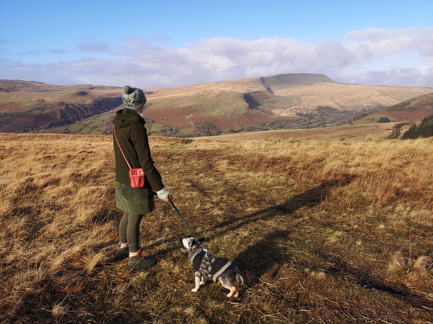 Katie the human and Jack the dog stand gazing from the top of a hill, over to the mountain on the other side of the valley. The sky is blue with some low clouds, and the ground is bare and brown. Both human and dog are wrapped up in handknits.