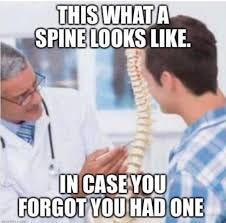 Doctor showing patient a model of a human spine with caption "This is what a spine looks like, in case you forgot you had one"