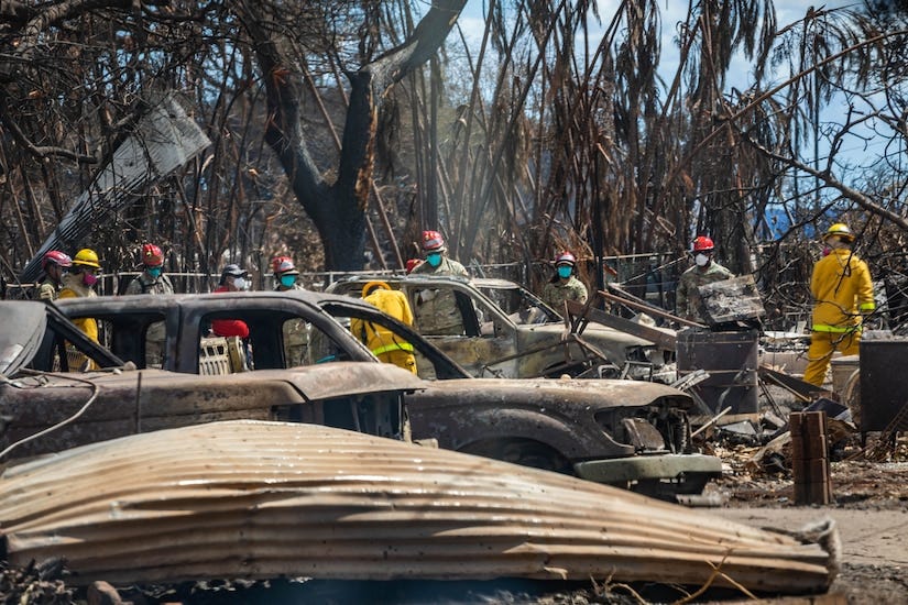 Service members and first responders survey damage among vehicles destroyed by a wildfire.