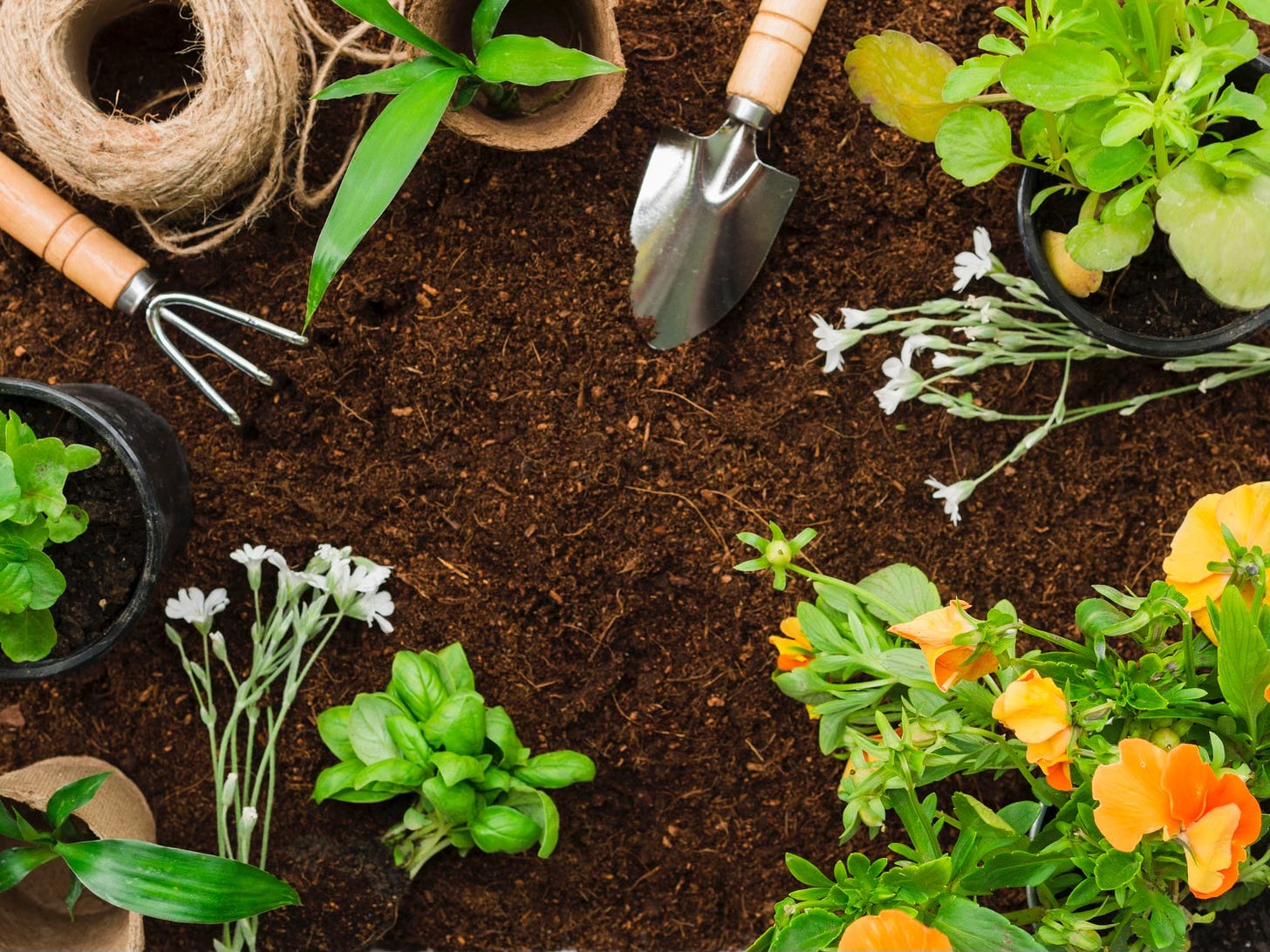 Overhead view of gardening tools in dirt with and flowers and herbs to be planted. 