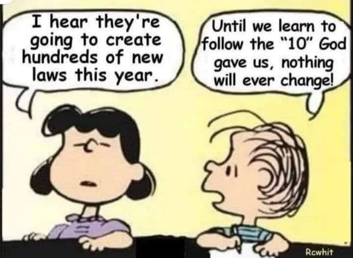May be a cartoon of text that says 'I hear they're going to create hundreds of new laws this year. Until we learn to follow the "10" God gave us, nothing will ever change! Rcwhit'
