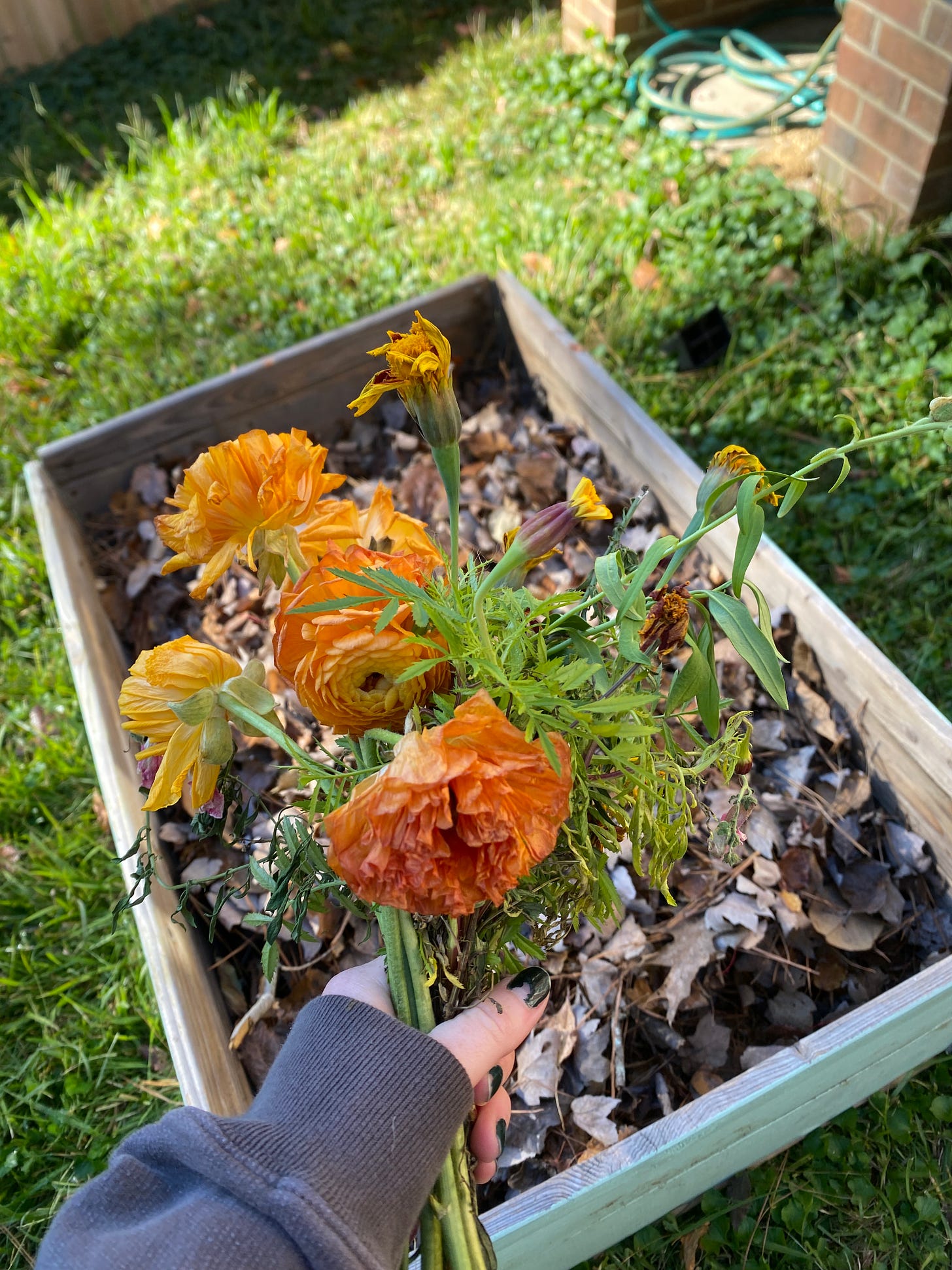A person holding a boquet of orange and green flowers over a wooden raised garden bed which is filled with fallen leaves