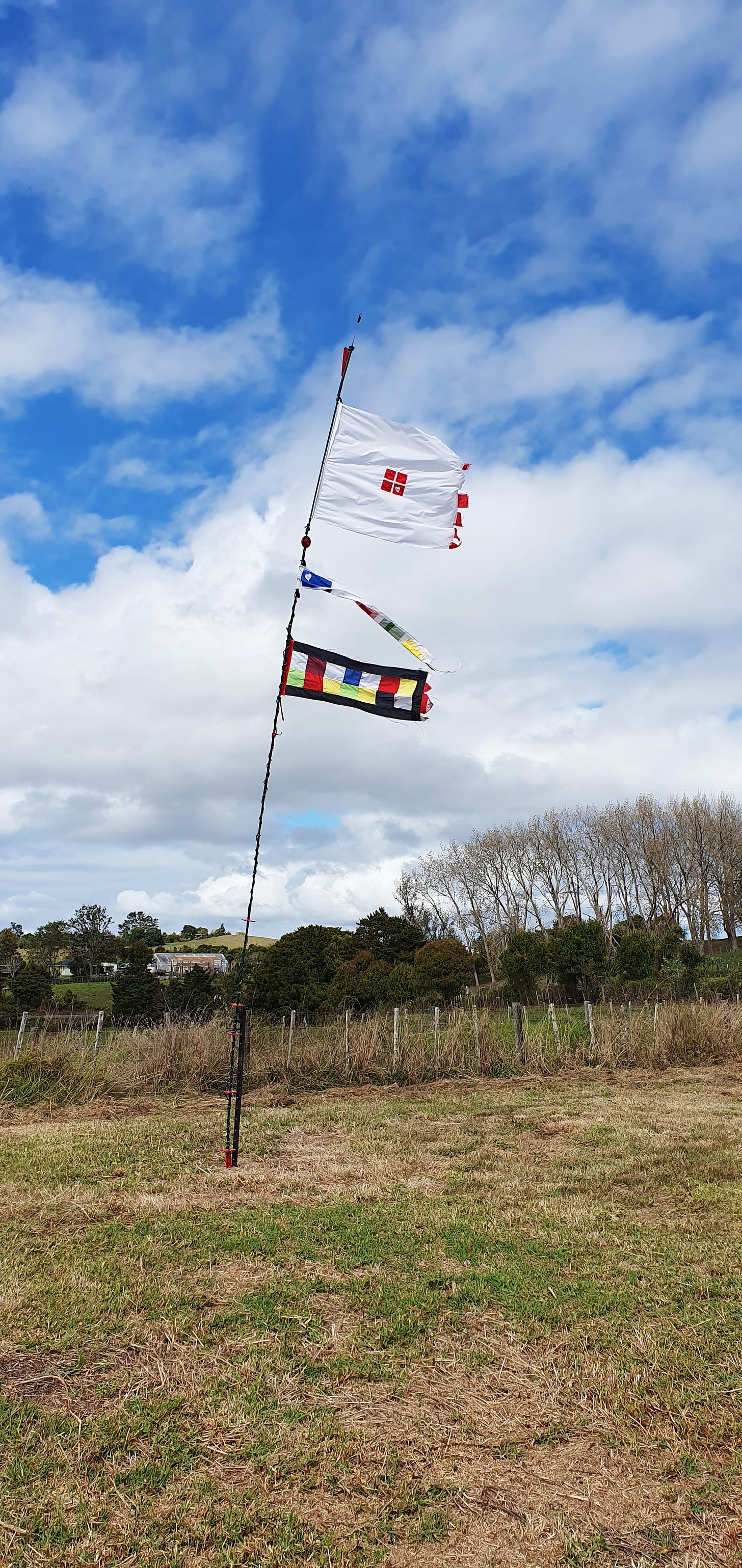 New flags flying on new pole in top paddock on a different day when there was more light and wind.