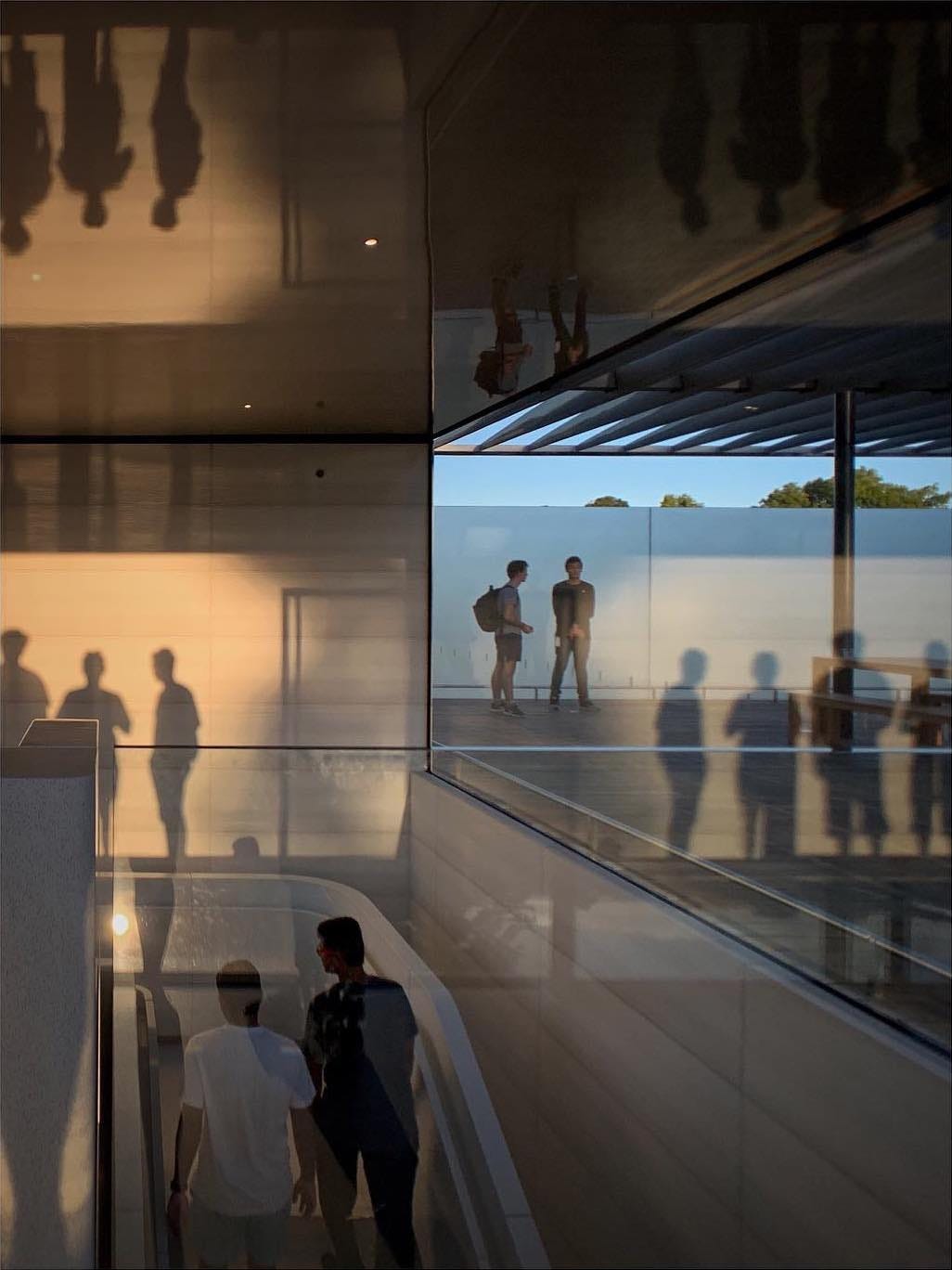 The rooftop deck at Apple Park Visitor Center. Shadow and light cast interesting and unexpected reflections.