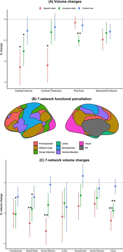 One-sample t-tests analyses of the percentage of change (y-axis) between prenatal and postnatal MRI scans for each metric. A) Percentage of volume change for each brain measure. B) 7-network functional cortical parcellation of Yeo et al. 2011. C) Percentage of volume change within the seven functional cortical networks described by Yeo et al. 2011. Results have different colours for each sample group (Spanish fathers, Californian fathers, and childless control men). Circles indicate the means, and scatter bars indicate the standard errors of the means. One asterisk highlights the t-tests analyses that survive an uncorrected P-value of 0.05 and two asterisks denote the t-tests that survive and FDR-adjusted threshold a q < 0.05.