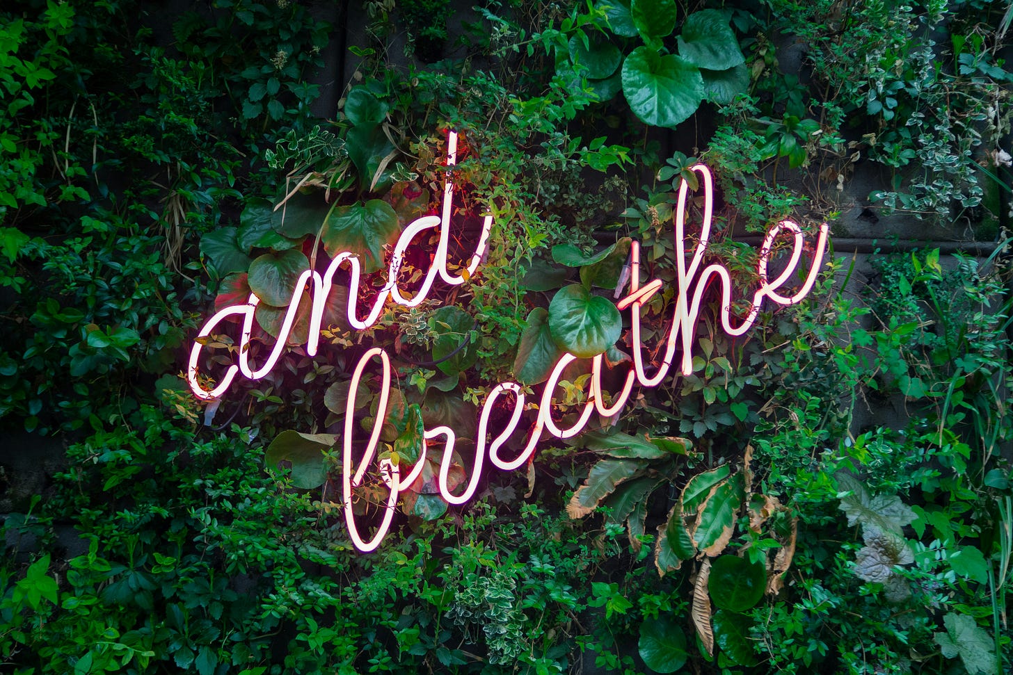 Neon sign reading "and breathe" in cursive letters sits on a background of dark green leaves