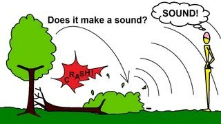 Physics 20 Sound and Sound Waves (2 of 49) If a Tree Falls in the  Forest...? - YouTube