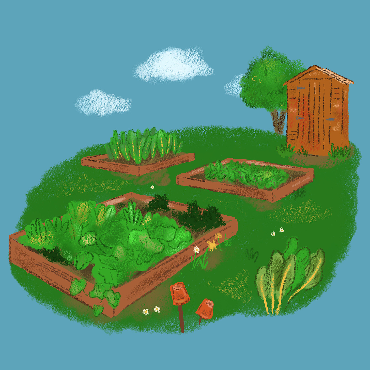 Three raised beds filled with green lush vegetables in a garden. A cute little shed is at the back of the garden next to a happy tree.
