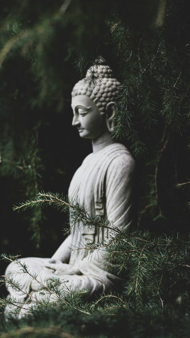 a buddha statue sitting in the middle of a forest