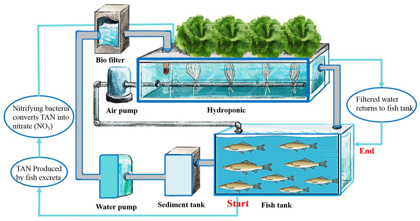 Chemosensors | Free Full-Text | Recent Advances of Smart Systems and  Internet of Things (IoT) for Aquaponics Automation: A Comprehensive Overview
