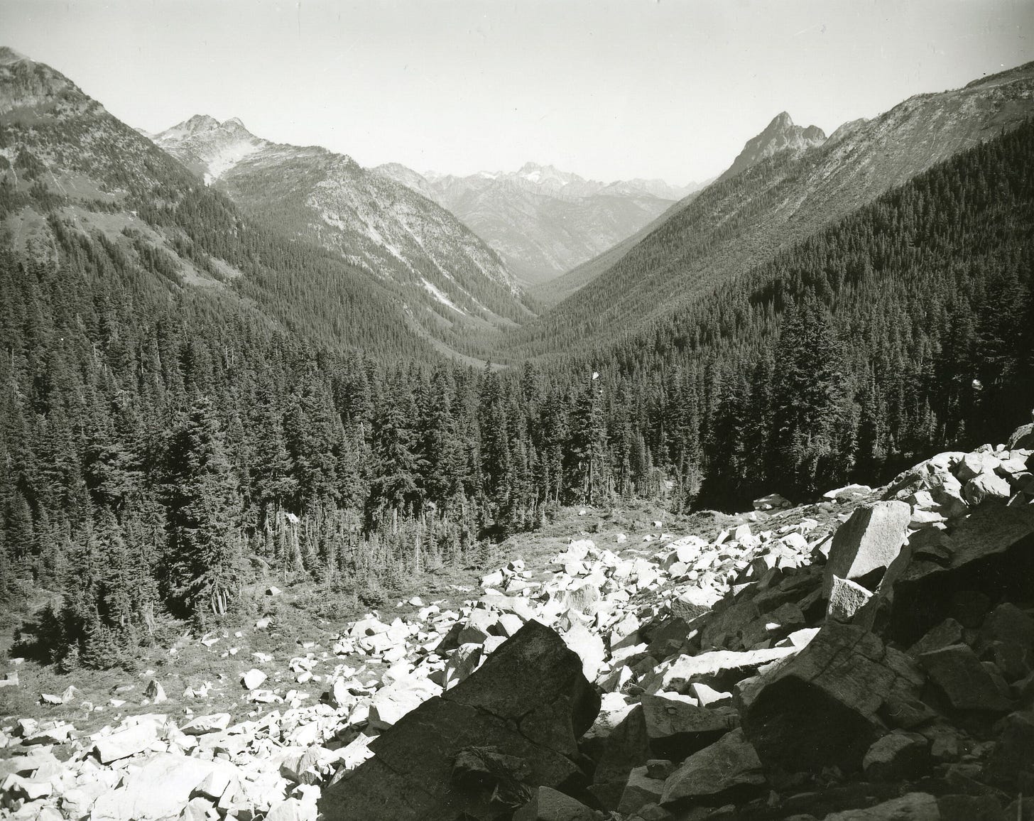 A forested valley, with large rocks and boulders in the foreground.