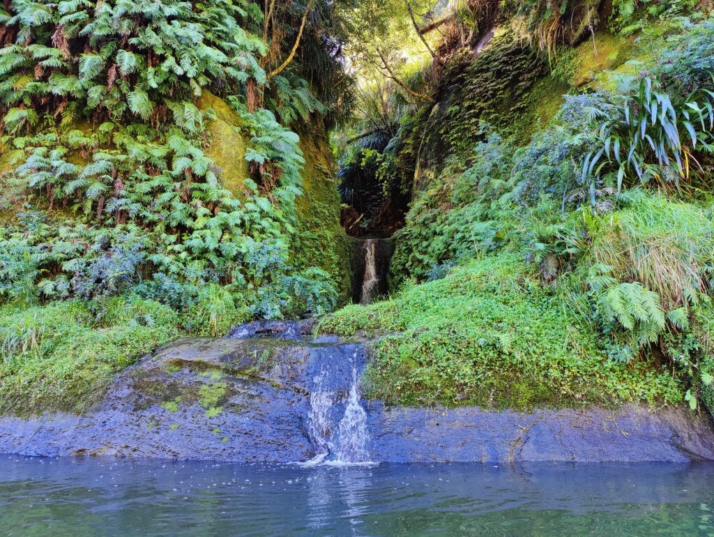 A tiny waterfall trickles down into the Whanganui River