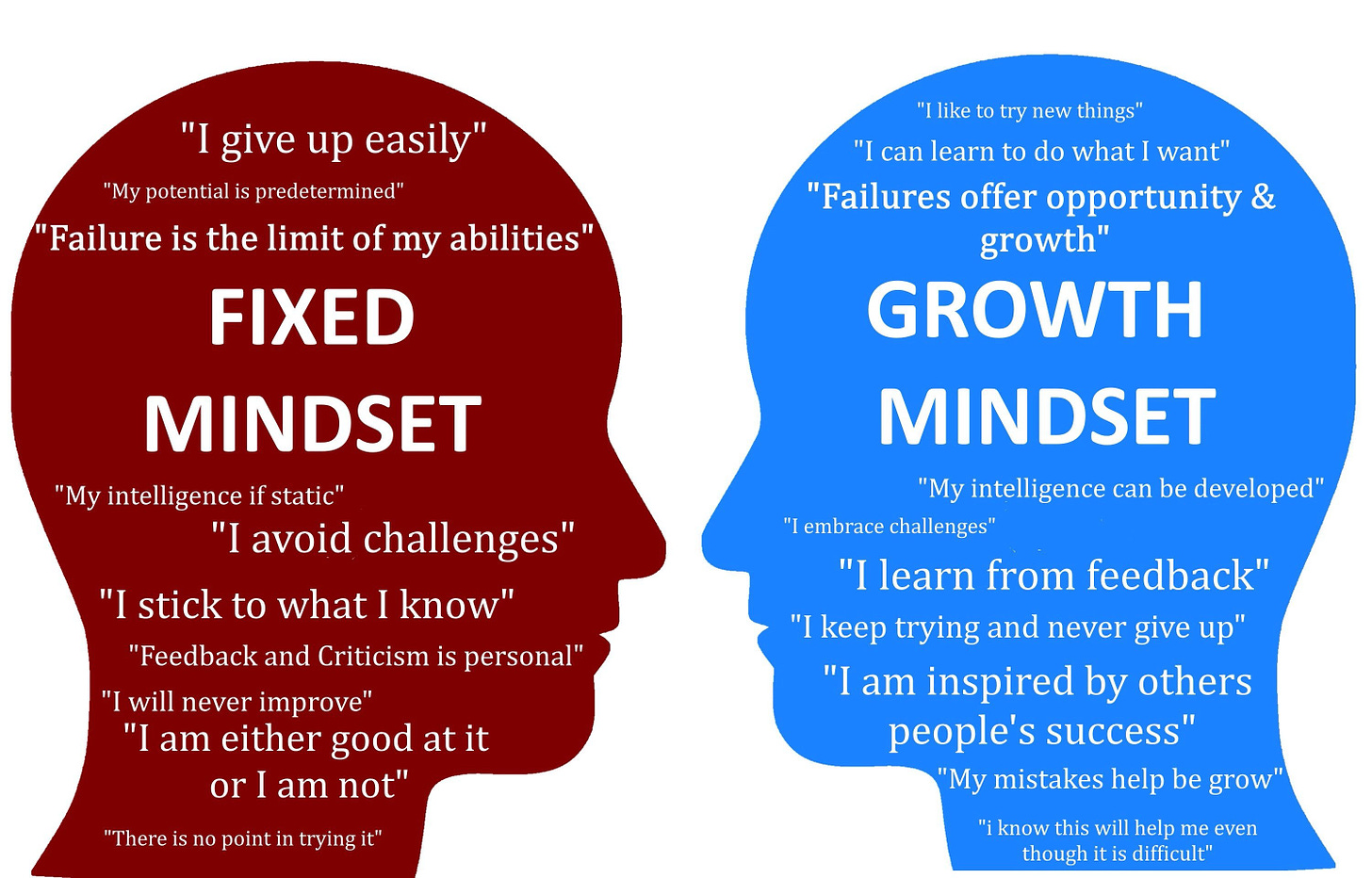 The Growth Mindset. The growth mindset is a trait that was… | by Darren ...