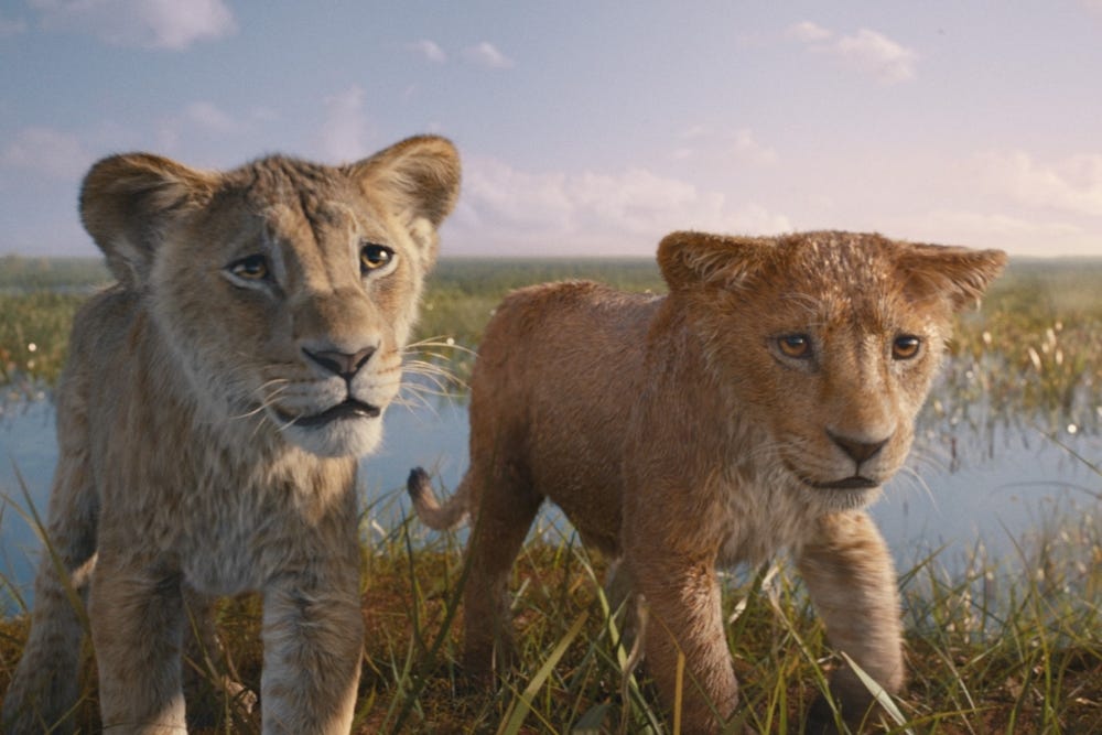 First Reactions Praise 'Mufasa: The Lion King' as a 'Perfect Prequel'