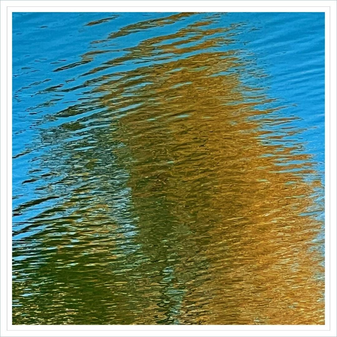 abstract image of reflection of yellow and gold leaves cast over rippling water