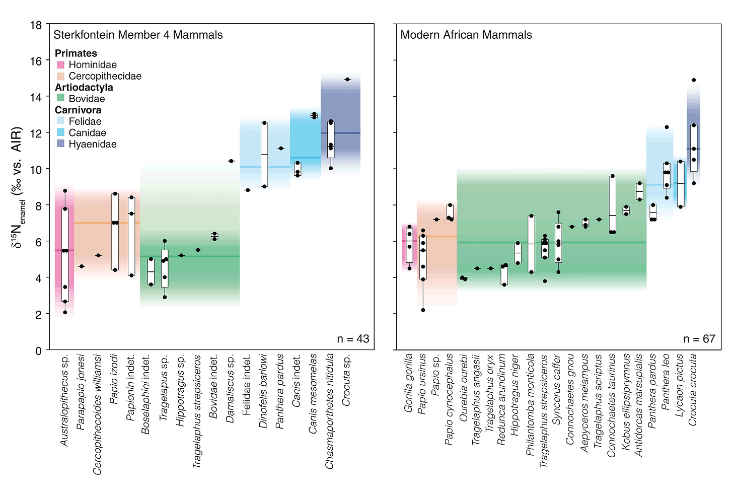 Bar charts showing low Australopithecus nitrogen-15 values similar to fossil primates and living gorillas and baboons, overlapping in range with bovids and lower than fossil and living carnivores Bar charts showing low Australopithecus nitrogen-15 values similar to fossil primates and living gorillas and baboons, overlapping in range with bovids and lower than fossil and living carnivores