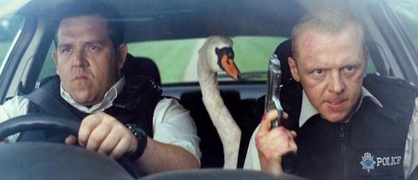 Movie Hot Fuzz comes to life as police officers give lift to a runaway SWAN  that caused chaos on a motorway | The Sun