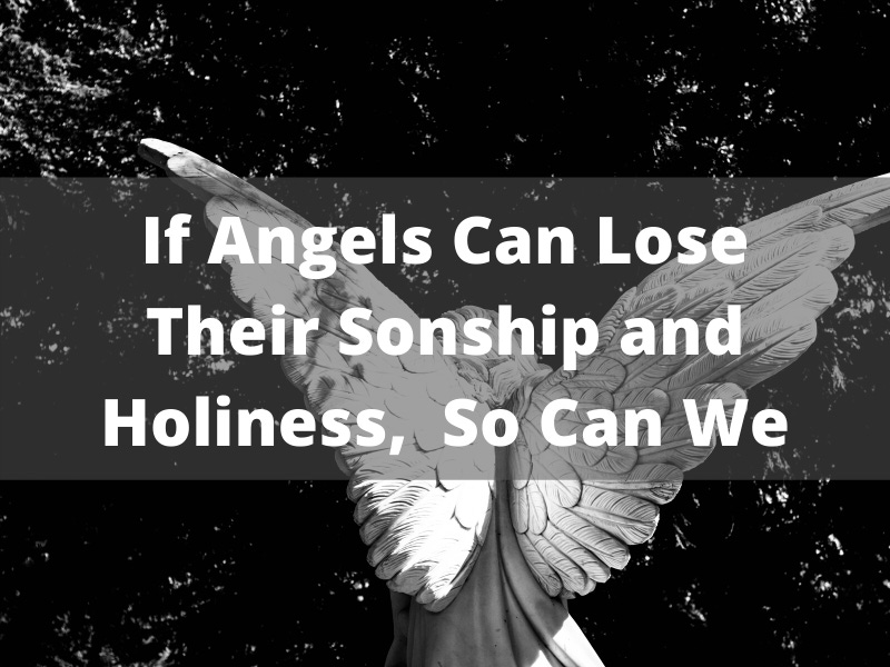 DID SOME ANGELS LOSE THEIR HOLINESS AND SONSHIP?