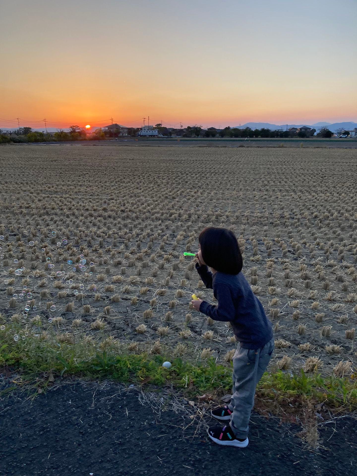 佐賀の夕焼け空にシャボン玉を飛ばす子供の写真