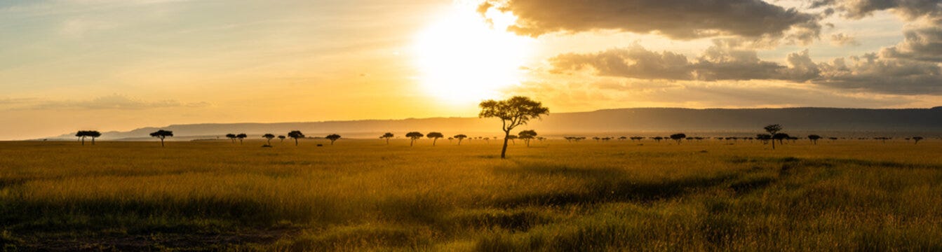 Panorama Africa Savannah Images – Browse 21,234 Stock Photos, Vectors, and  Video | Adobe Stock