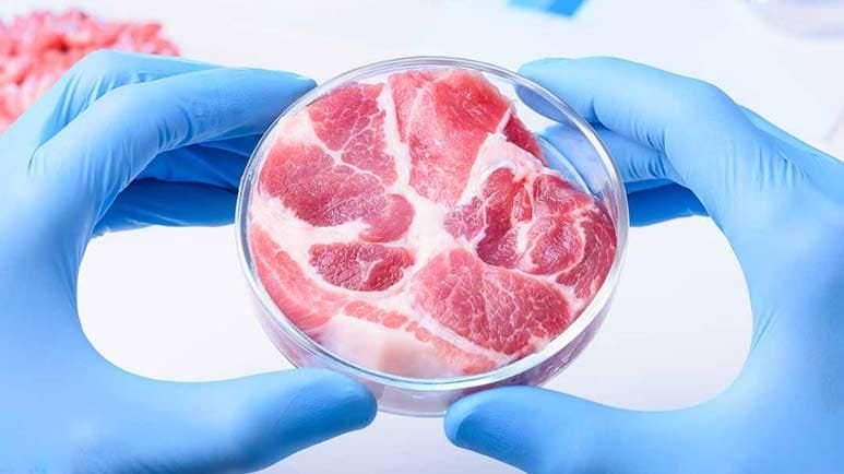 florida ban lab grown meat