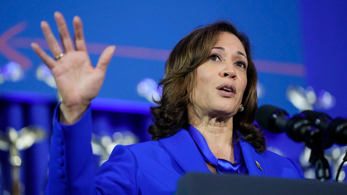 Kamala Harris says another Trump term would mean 'more suffering, less  freedom' as six-week Florida abortion ban goes into effect - KTVZ