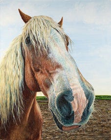 *Original* Gentle Giant by Rollie Brandt 20" x 16"