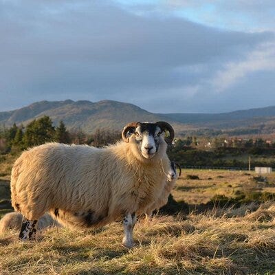 Loch Lomond &amp; the Trossachs National Park