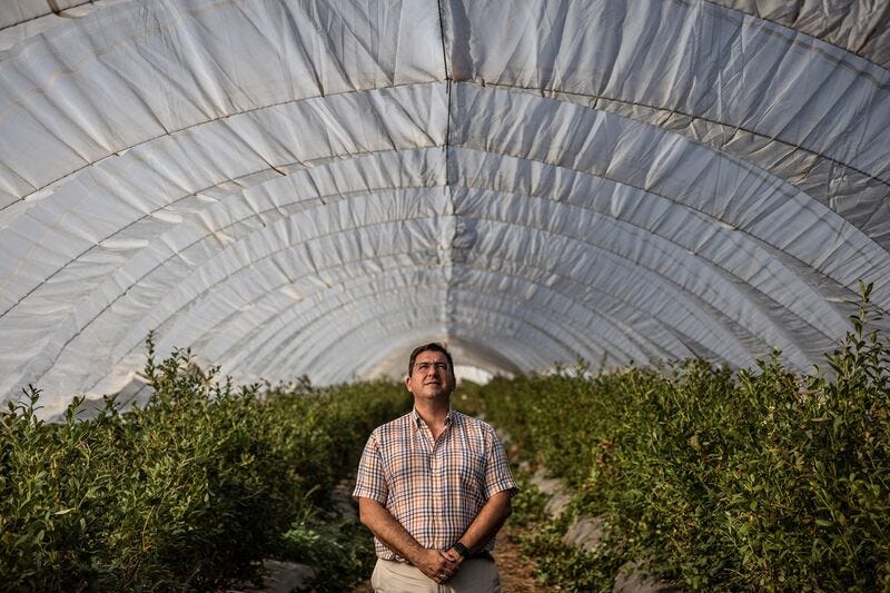 relates to Spain’s Climate Election Pits Water Police Against Angry Berry Farmers