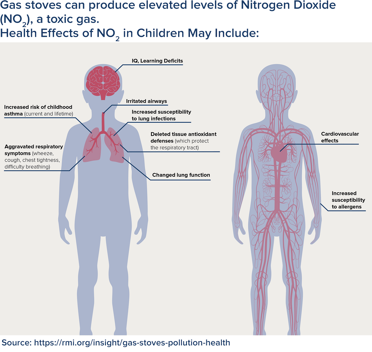 infographic three