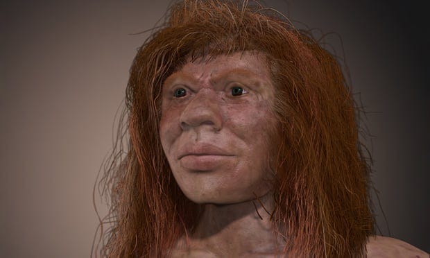 Meet Denny, the ancient mixed-heritage mystery girl | Evolution | The  Guardian