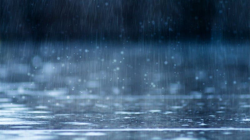 50 Best Rainy Day Quotes to Make You Feel Happy This Monsoon