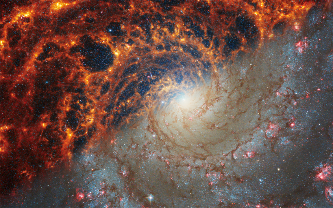 Face-on spiral galaxy, NGC 628, is split diagonally in this image: The James Webb Space Telescope’s observations appear at top left, and the Hubble Space Telescope’s on bottom right. Webb and Hubble’s images show a striking contrast, an inverse of darkness and light. Why? Webb’s observations combine near- and mid-infrared light and Hubble’s showcase visible light. Dust absorbs ultraviolet and visible light, and then re-emits it in the infrared. In Webb's images, we see dust glowing in infrared light. In Hubble’s images, dark regions are where starlight is absorbed by dust.