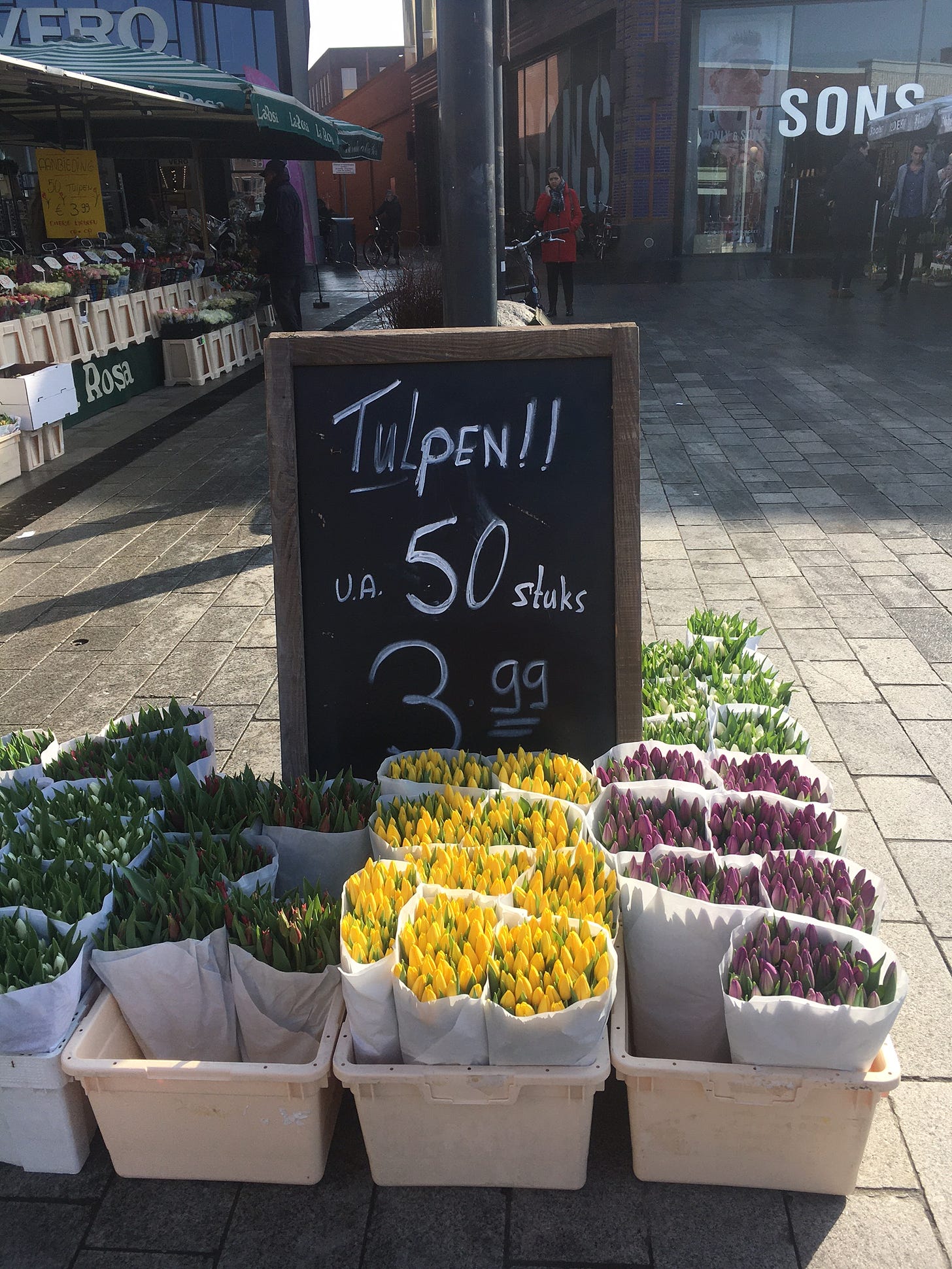 Ein Markt mit Tulpen