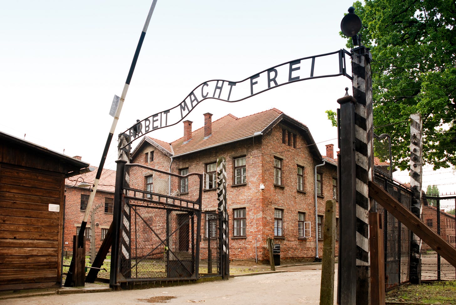 Auschwitz Wikipedia