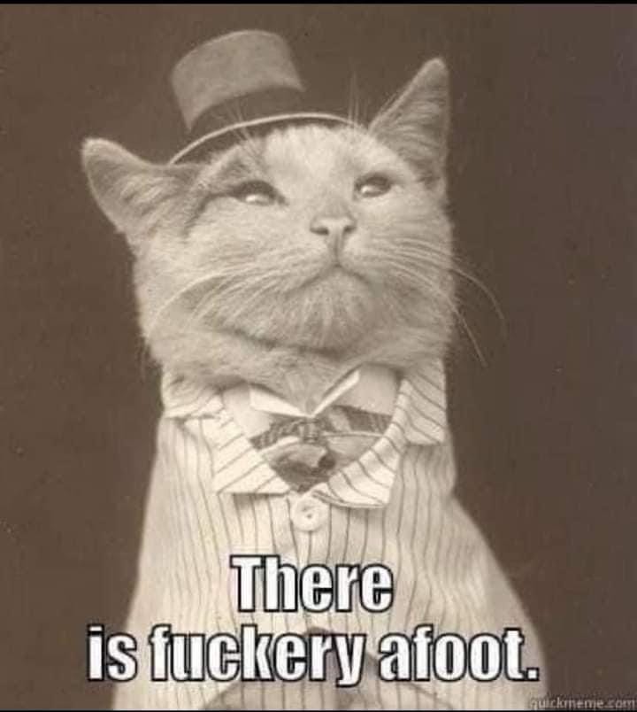 Sepia photo of cat dressed in old-timey top hat and suit with caption "There is fuckery afoot"