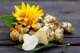 What are Sunchokes & How To Use Them | Lakewinds Food Co op