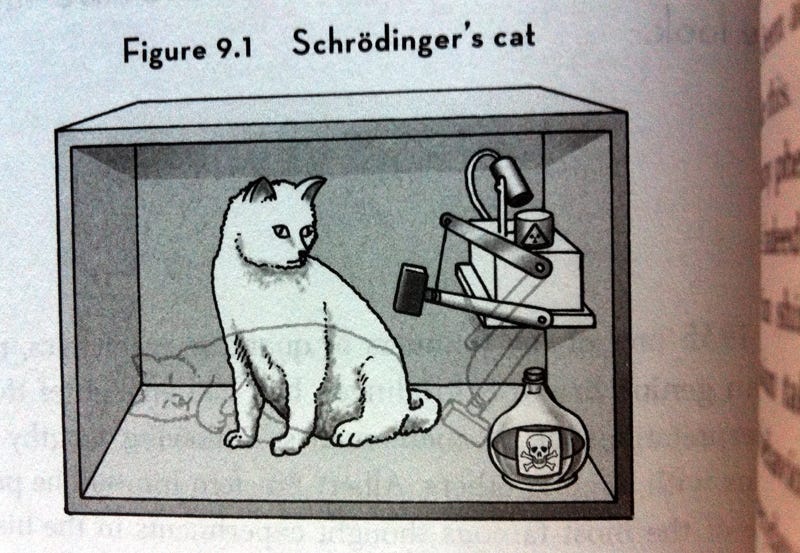 Schrödinger's Cat: Unveiling the Paradox of Quantum Superposition | by Omar  Elgerba | Medium