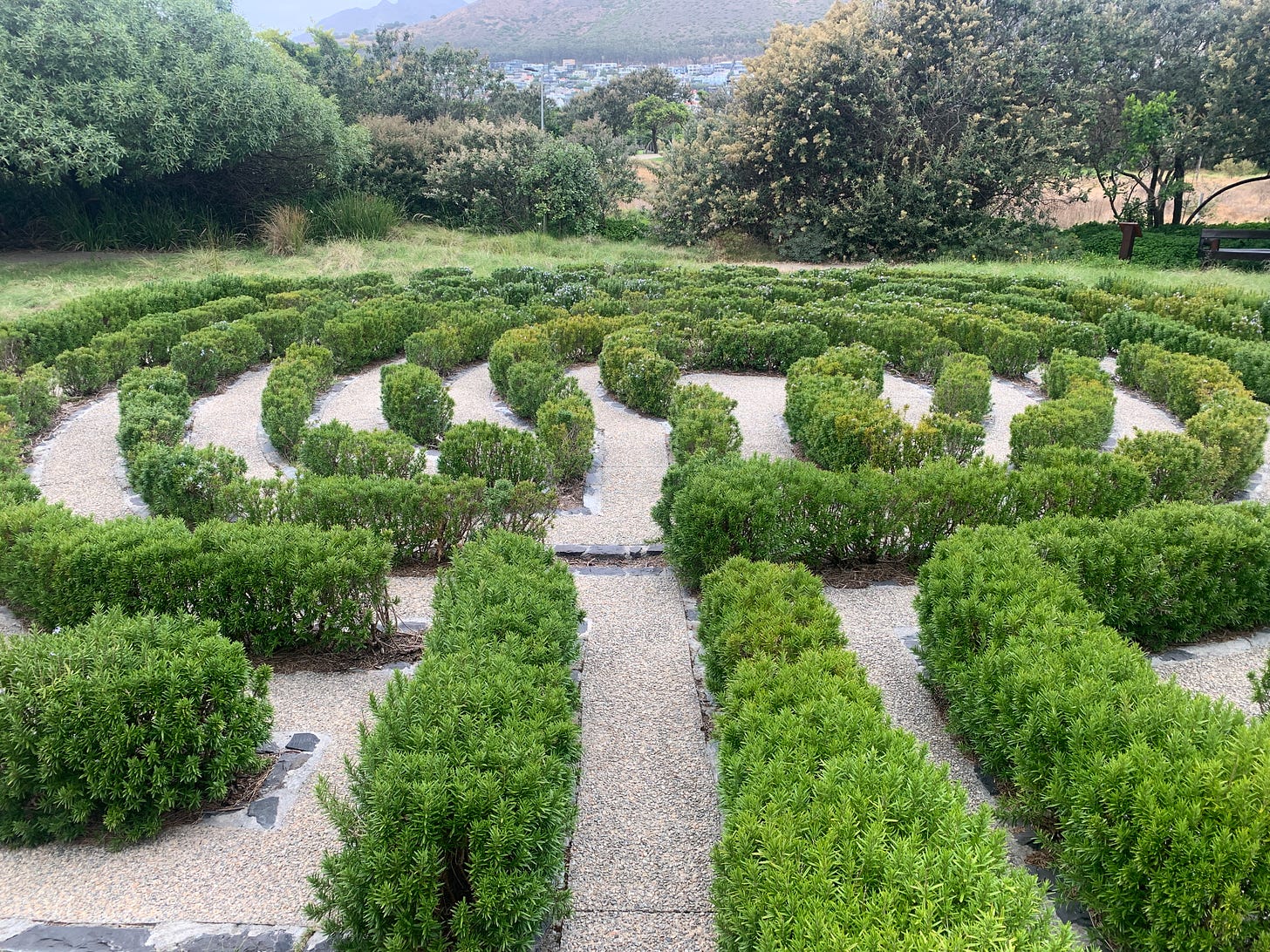 A labyrinth, constructed with gravel path in winding spirals and rosemary bushes as the labyrinth divider