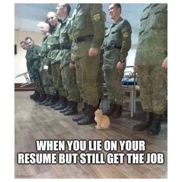 When You Lie on Your Resume Meme (Hilarious Memes Only)