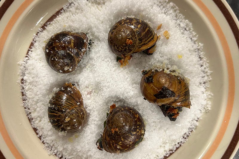 Escargot on a bed of rock salt.