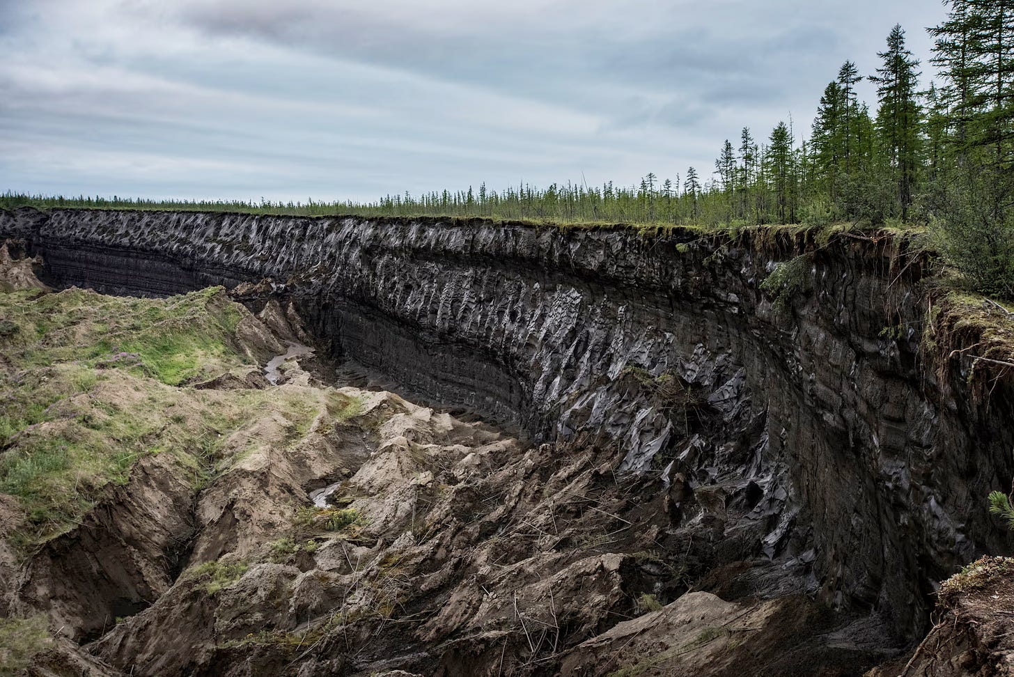 Picture of a portion of the exposed wall of the Batagaika crater