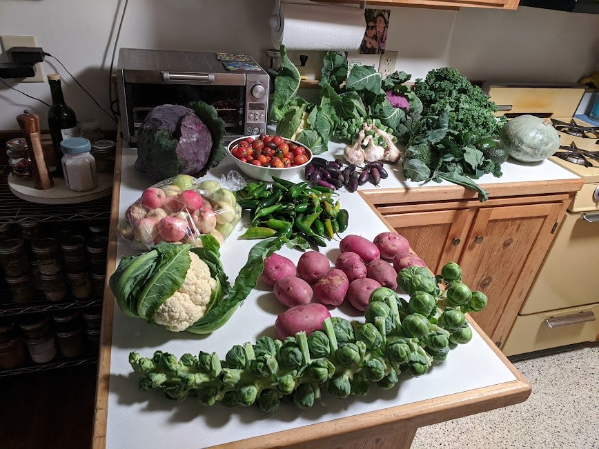 a countertop full of alaska grown produce