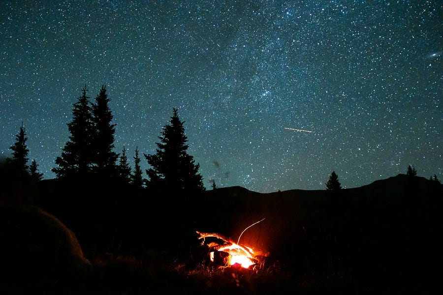 Stars in a night aky above the forest scene.