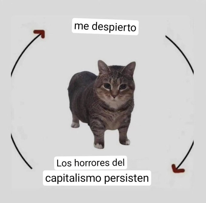 Imaxe
