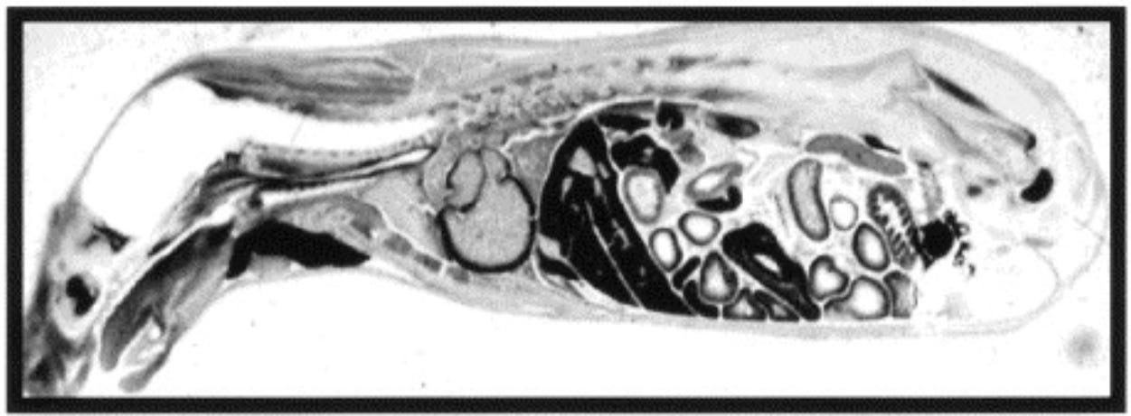 A close-up of a human body

Description automatically generated