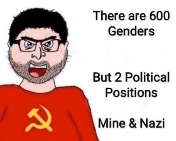 Meme: An angry man in a communist sweatshirt says, "There are 600 genders, but 2 political positions: Mine & Nazi"