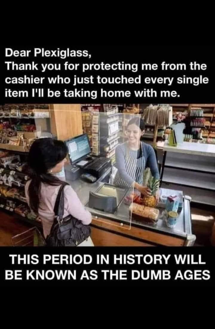 May be an image of 2 people and text that says 'Dear Plexiglass, Thank you for protecting me from the cashier who just touched every single item I'll be taking home with me. THIS PERIOD IN HISTORY WILL BE KNOWN AS THE DUMB AGES'