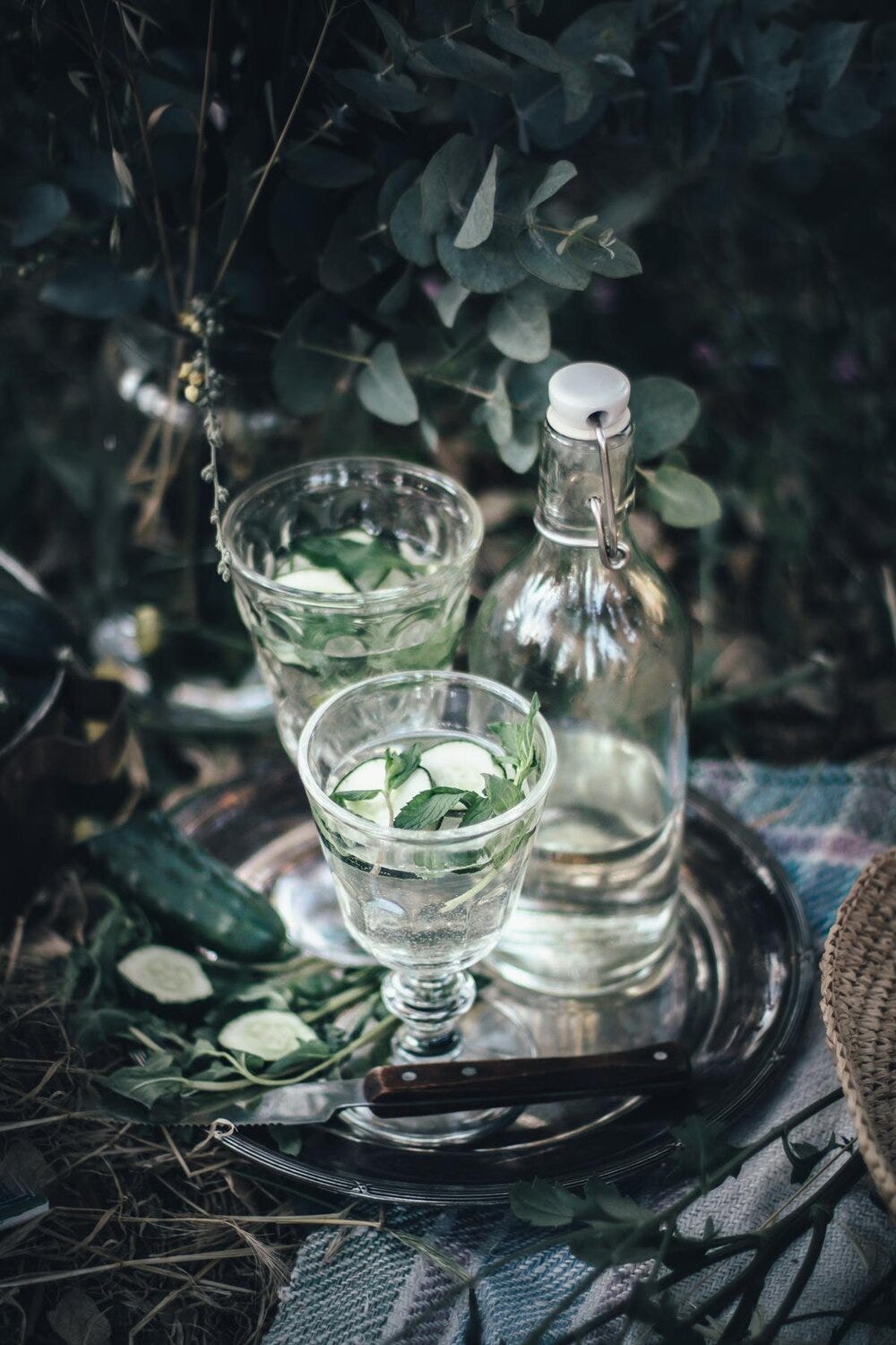 Persian Cucumber Sekanjebin Drink 13.jpg Persian Cucumber Sekanjebin Drink 13.jpg